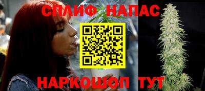 МДПВ Ливны
