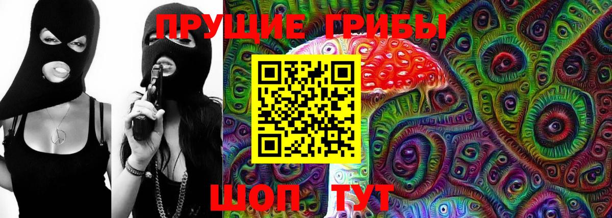Дзержинск  Галлюциногенные грибы Cubensis  Вход с VPN 